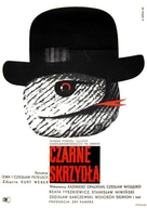 Czarne skrzydla - Polish Movie Poster (xs thumbnail)