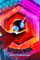 Spider-Man: Across the Spider-Verse Cover