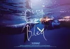 Le Grand Bleu 19 Movie Posters