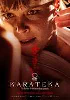 Karateka Poster