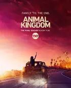 "Animal Kingdom" Poster