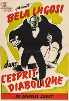 Voodoo Man Poster
