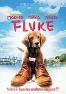 Fluke - French DVD movie cover (xs thumbnail)