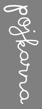 Pojkarna - Swedish Logo (xs thumbnail)