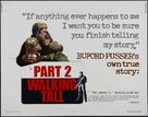 Part 2 Walking Tall - Theatrical movie poster (xs thumbnail)