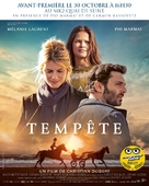 Temp&ecirc;te - French Movie Poster (xs thumbnail)