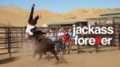 Jackass Forever - poster (xs thumbnail)