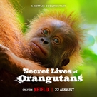 Secret Lives of Orangutans - British Movie Poster (xs thumbnail)