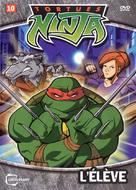 &quot;Teenage Mutant Ninja Turtles&quot; - French DVD movie cover (xs thumbnail)