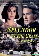 Splendor in the Grass - Chinese DVD movie cover (xs thumbnail)