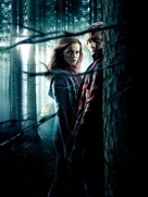 Harry Potter and the Deathly Hallows - Part 1 - Key art (xs thumbnail)