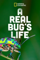 &quot;A Real Bug&#039;s Life&quot; - poster (xs thumbnail)