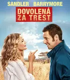 Blended - Czech Movie Cover (xs thumbnail)