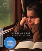 Mitt liv som hund - Blu-Ray movie cover (xs thumbnail)