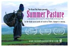 Summer Pasture - Movie Poster (xs thumbnail)