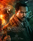 Fantastic Beasts: The Secrets of Dumbledore - French Movie Poster (xs thumbnail)
