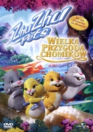 Quest for Zhu - Polish DVD movie cover (xs thumbnail)
