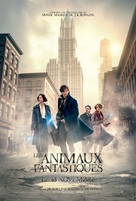 Fantastic Beasts and Where to Find Them - Canadian Movie Poster (xs thumbnail)