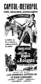 The Bandit of Sherwood Forest Other