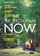 The Spectacular Now - French Movie Poster (xs thumbnail)