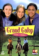 &quot;The Saddle Club&quot; - French DVD movie cover (xs thumbnail)