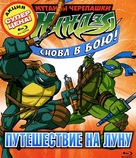&quot;Teenage Mutant Ninja Turtles&quot; - Russian Blu-Ray movie cover (xs thumbnail)