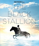 The Black Stallion - Blu-Ray movie cover (xs thumbnail)