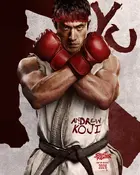 Street Fighter Poster