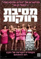 Bridesmaids Poster