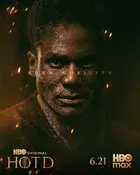 "House of the Dragon" Poster