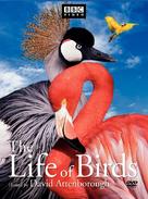 &quot;The Life of Birds&quot; - Movie Cover (xs thumbnail)