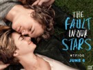 The Fault in Our Stars - Movie Poster (xs thumbnail)