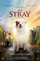 The Stray - Movie Poster (xs thumbnail)