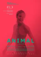Animal Poster
