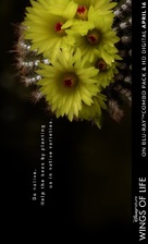 Pollen - poster (xs thumbnail)