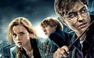 Harry Potter and the Deathly Hallows - Part 1 - Movie Poster (xs thumbnail)