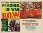 Prisoner of War Poster