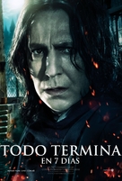 Harry Potter and the Deathly Hallows - Part 2 - Argentinian Movie Poster (xs thumbnail)