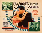 A Shriek in the Night Poster