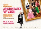 Aristokratka ve varu - Czech Movie Poster (xs thumbnail)