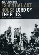 Lord of the Flies - DVD movie cover (xs thumbnail)