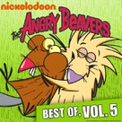 &quot;The Angry Beavers&quot; - DVD movie cover (xs thumbnail)