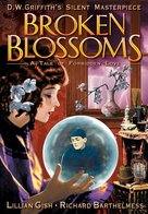 Broken Blossoms or The Yellow Man and the Girl - DVD movie cover (xs thumbnail)