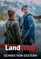 Schnee von Gestern Poster