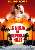 Beverly Hills Ninja - French Movie Poster (xs thumbnail)