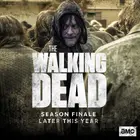"The Walking Dead" Poster