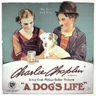 A Dog's Life - Movie Poster (xs thumbnail)