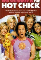 The Hot Chick - DVD movie cover (xs thumbnail)