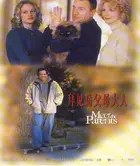 Meet the Parents Poster