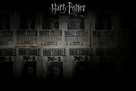 Harry Potter and the Deathly Hallows - Part 1 - Movie Poster (xs thumbnail)